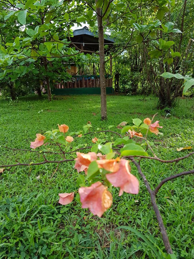 Sigiri Heritage Villa Sigiriya Exteriör bild