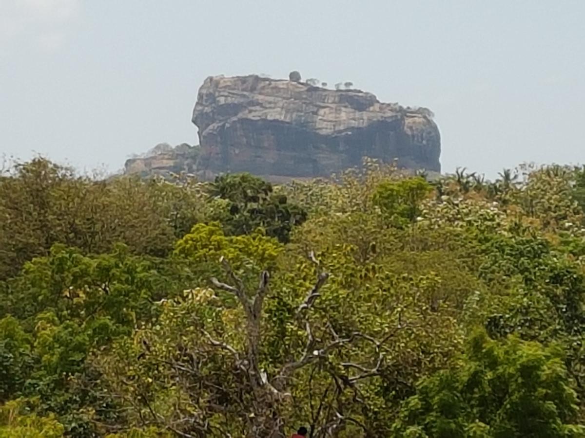 Sigiri Heritage Villa Sigiriya Exteriör bild